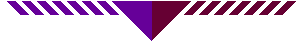 Young Leaders wear the District Explorer Scout necker